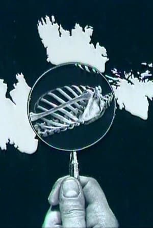 Photomontage Today: Peter Kennard