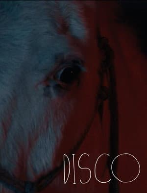 Disco