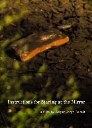 Instructions for Staring at the Mirror