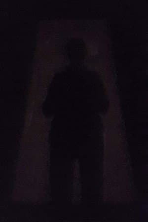 An Image in the Shadow
