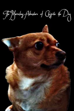 The Marvelous Adventure of Chispita the Dog