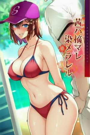 四季の花シリーズ