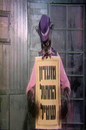 מועדון החתול שמיל