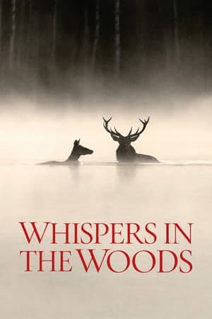 Whispers in the Woods