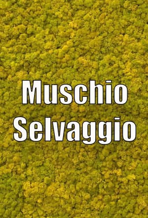 Wild Musk