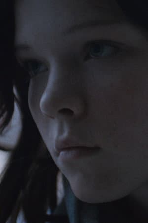 Little Dove