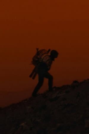 Magma