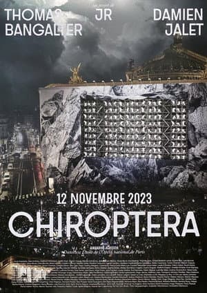 CHIROPTERA