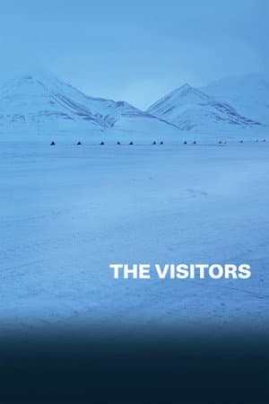 The Visitors