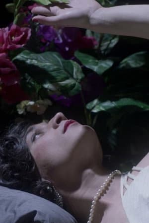 Flowers and Beasts