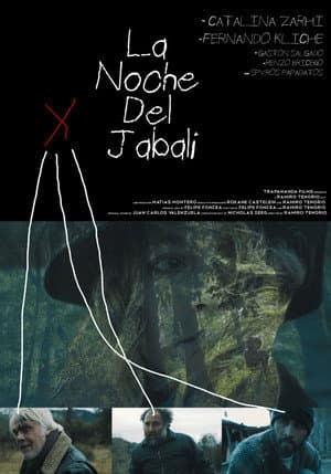The Night Of The Wild Boar