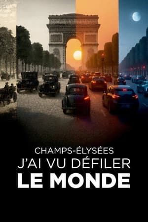 Champs-Elysées : j'ai vu défiler le monde