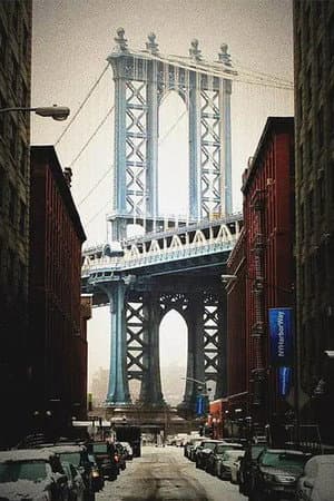 Brooklyn DA