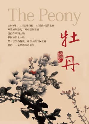 牡丹