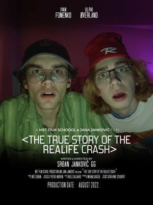 The True Story of the REALIFE Crash