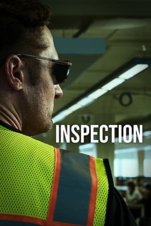 Inspection