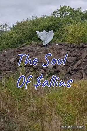 The Soul Of Sallins