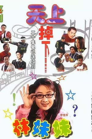 天上掉下个林妹妹