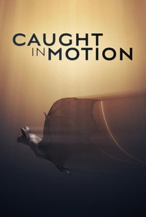Caught in Motion
