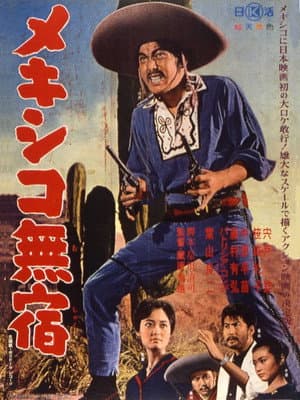 Mexico Drifter