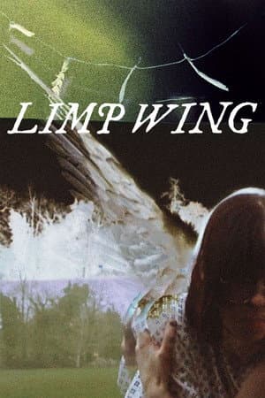 Limp Wing