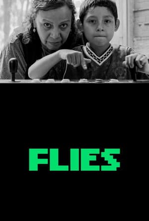 Flies