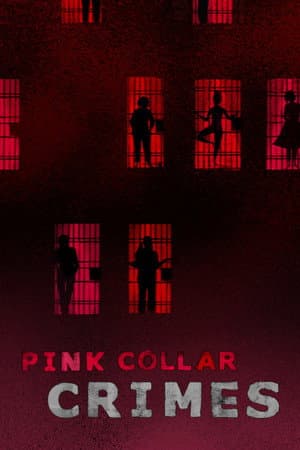 Pink Collar Crimes