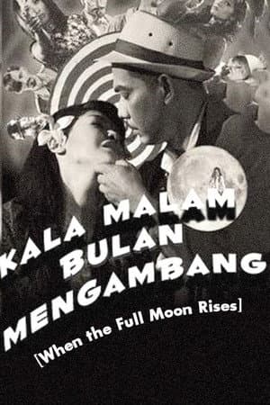 When The Full Moon Rises