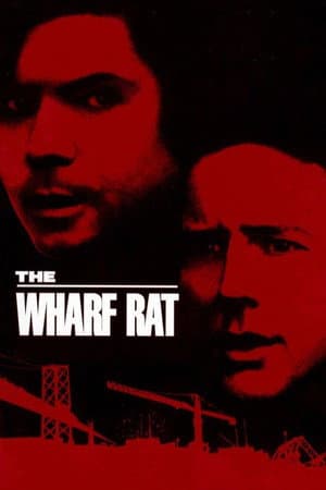 The Wharf Rat