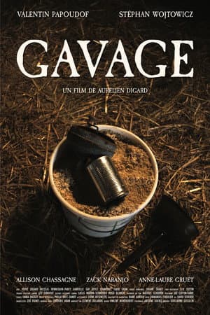 Gavage