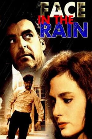 A Face in the Rain