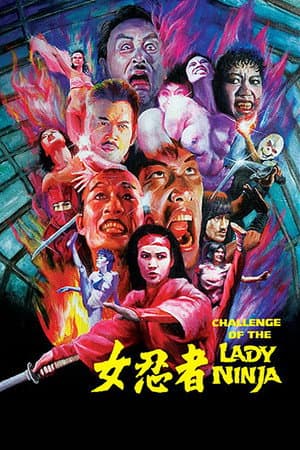 The Challenge of the Lady Ninja