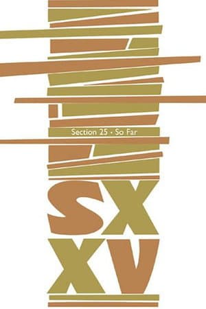 Section 25: So Far (An Audiovisual History 1980-85)