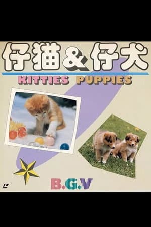Kitties & Puppies
