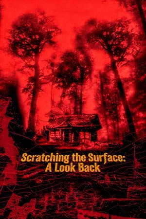 Scratching the Surface: A Look Back