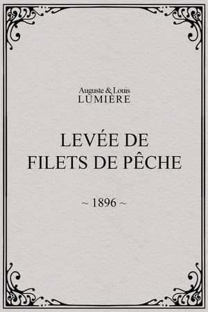 Levée de filets de pêche