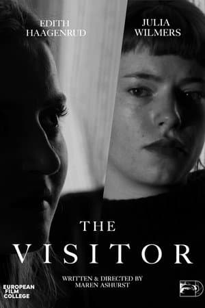 The Visitor