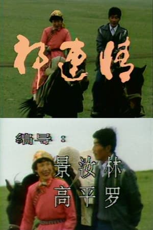 Romance at Qilian