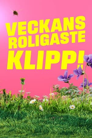 Veckans roligaste klipp