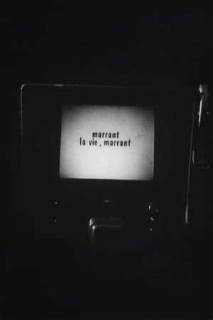 Marrant la vie, Marrant !