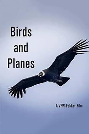 Birds and Planes