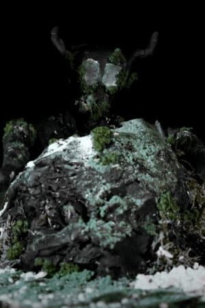 The Trees Have Eyes