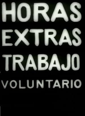About Extra Hours and Volunteer Work