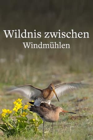 Wildlife in Windmill Country