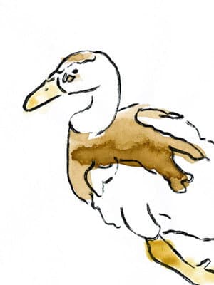 Sosuke the Duck