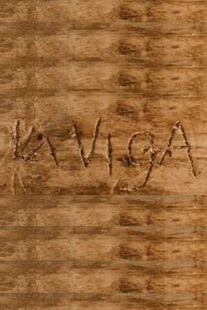 La viga