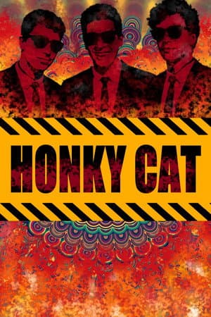 Honky Cat