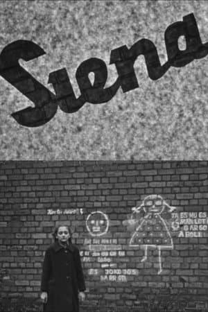 The Wall
