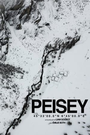 PEISEY