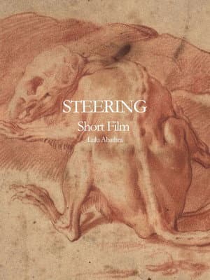Steering